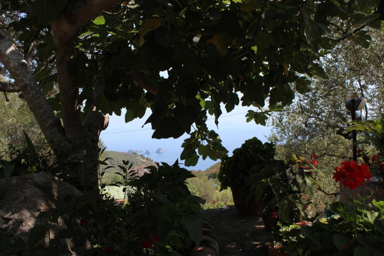 Villa Casa Josella Massa Lubrense Exterior foto